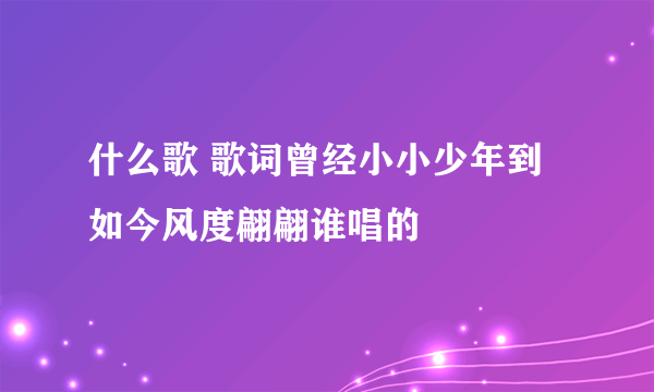 什么歌 歌词曾经小小少年到如今风度翩翩谁唱的