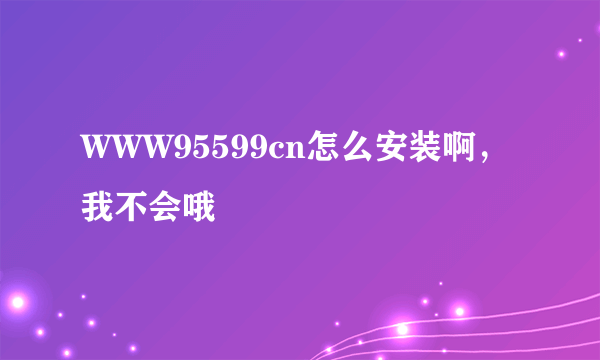 WWW95599cn怎么安装啊，我不会哦