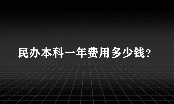 民办本科一年费用多少钱？