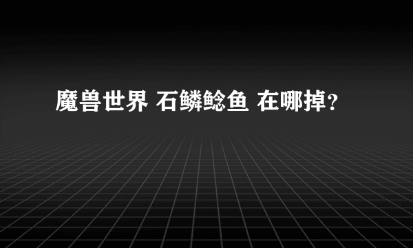 魔兽世界 石鳞鲶鱼 在哪掉？