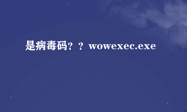 是病毒码？？wowexec.exe