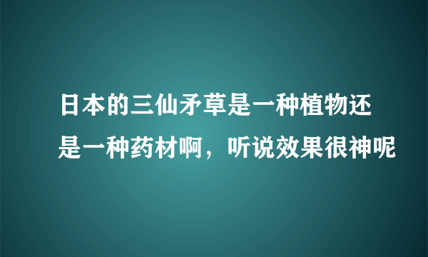 日本的三仙矛草是一种植物还是一种药材啊，听说效果很神呢