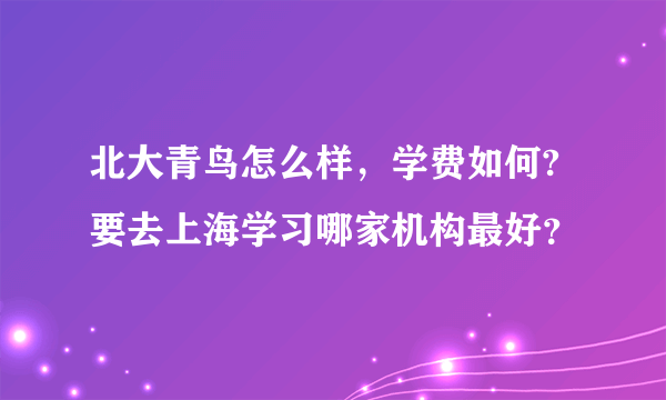 北大青鸟怎么样，学费如何?要去上海学习哪家机构最好？