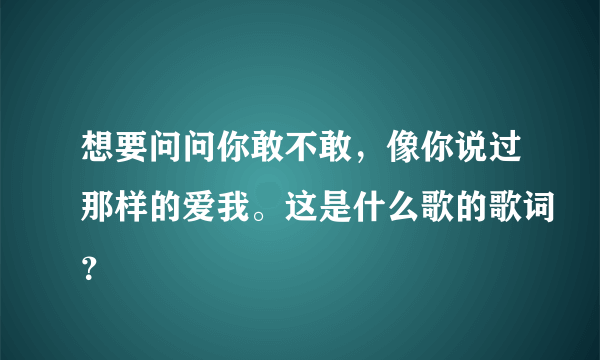 想要问问你敢不敢，像你说过那样的爱我。这是什么歌的歌词？