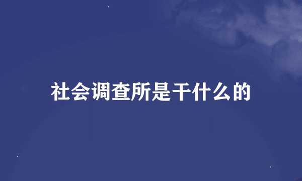 社会调查所是干什么的