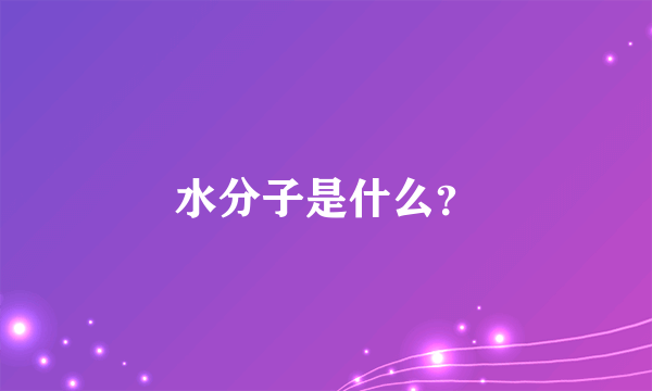 水分子是什么？