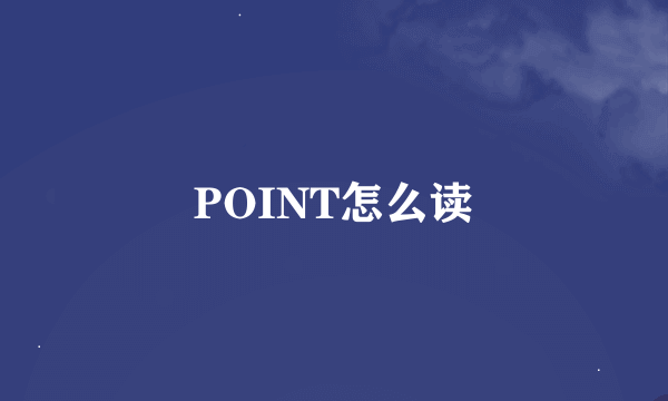 POINT怎么读