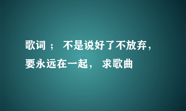 歌词 ； 不是说好了不放弃，要永远在一起， 求歌曲