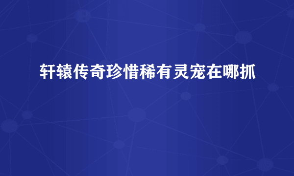 轩辕传奇珍惜稀有灵宠在哪抓