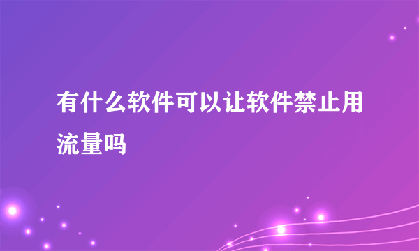 有什么软件可以让软件禁止用流量吗