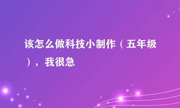 该怎么做科技小制作（五年级），我很急