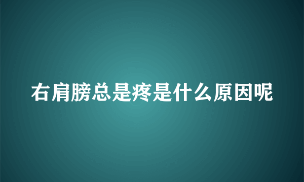 右肩膀总是疼是什么原因呢