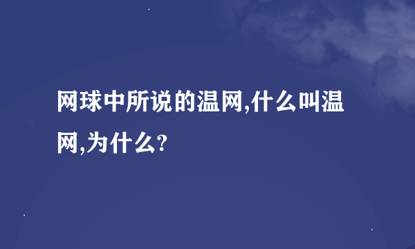 网球中所说的温网,什么叫温网,为什么?