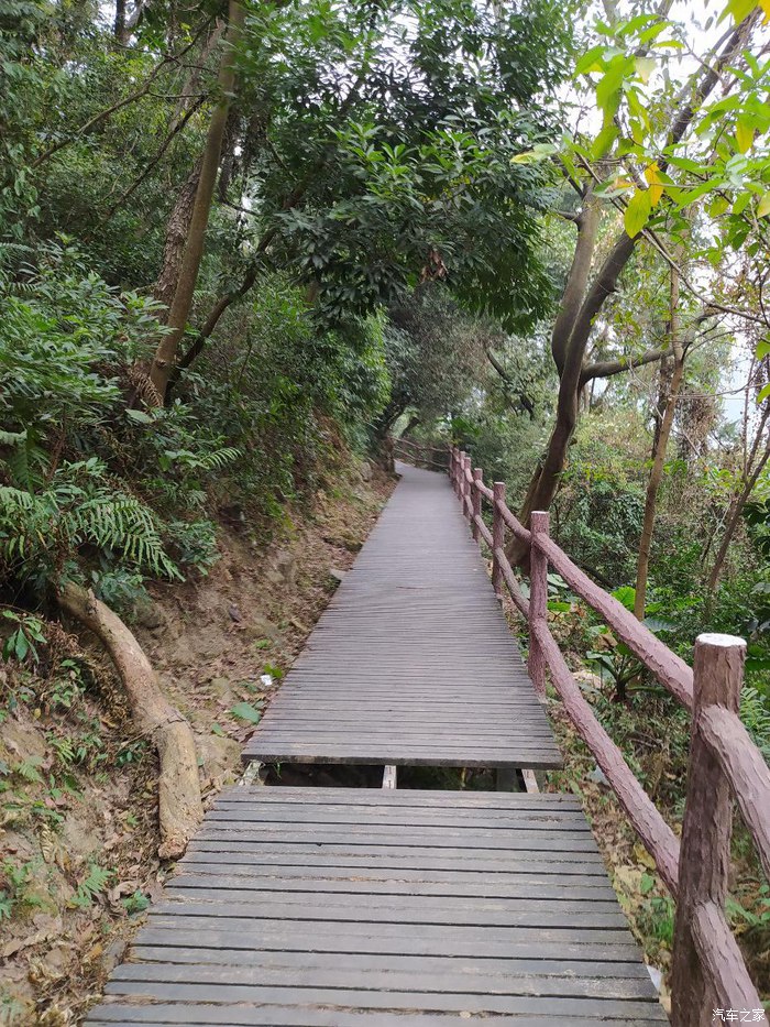 登华佗山逸行，给自己及家庭带来了许多方便