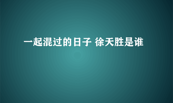 一起混过的日子 徐天胜是谁