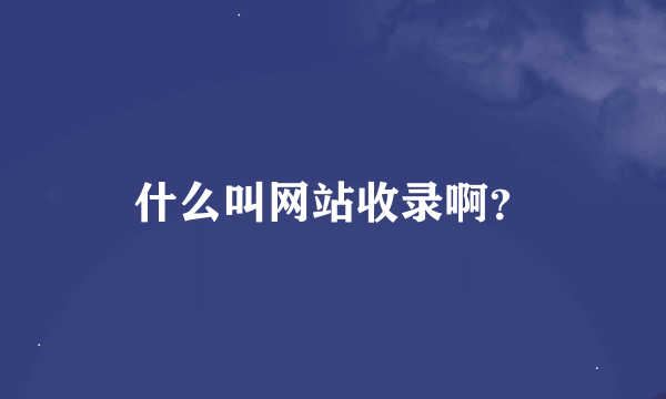 什么叫网站收录啊？