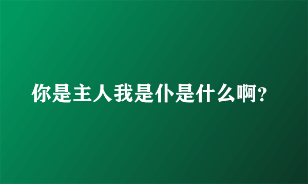 你是主人我是仆是什么啊？