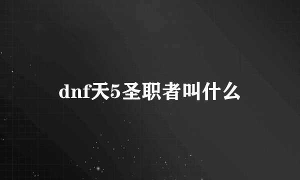 dnf天5圣职者叫什么