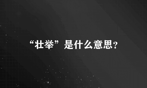 “壮举”是什么意思？