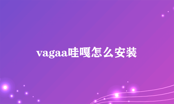 vagaa哇嘎怎么安装