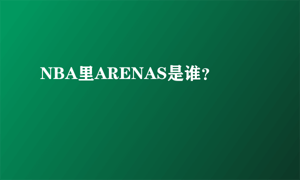 NBA里ARENAS是谁？