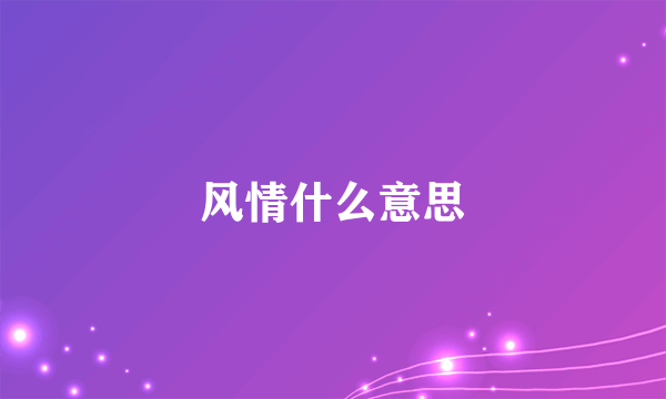 风情什么意思