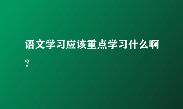 语文学习应该重点学习什么啊？