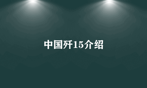 中国歼15介绍