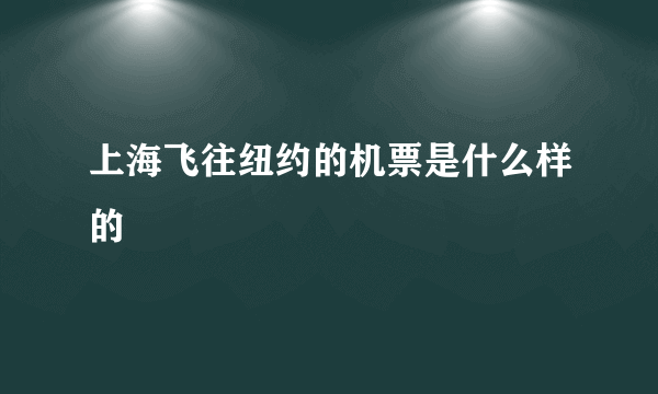 上海飞往纽约的机票是什么样的