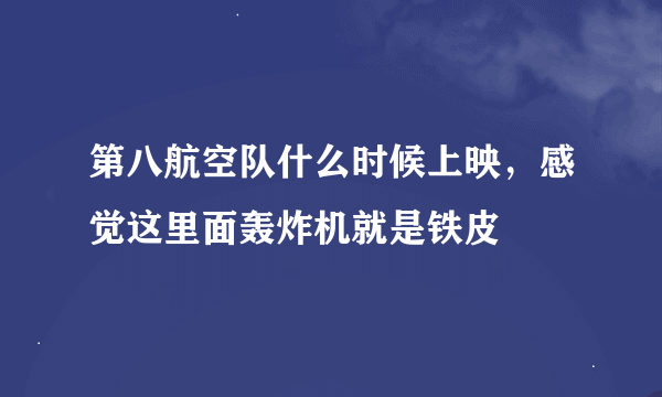 第八航空队什么时候上映，感觉这里面轰炸机就是铁皮