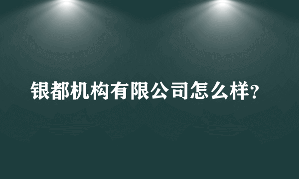 银都机构有限公司怎么样？