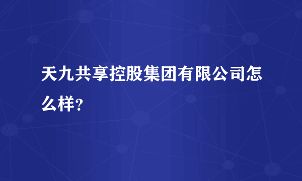 天九共享控股集团有限公司怎么样？