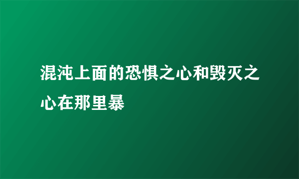 混沌上面的恐惧之心和毁灭之心在那里暴