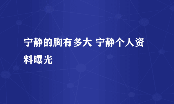 宁静的胸有多大 宁静个人资料曝光