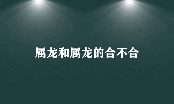 属龙和属龙的合不合