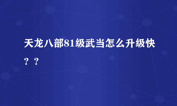 天龙八部81级武当怎么升级快？？