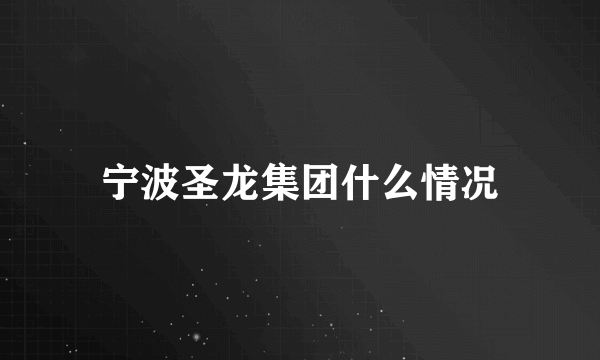 宁波圣龙集团什么情况