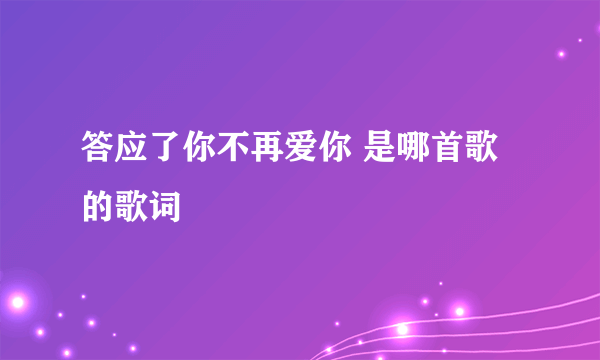 答应了你不再爱你 是哪首歌的歌词