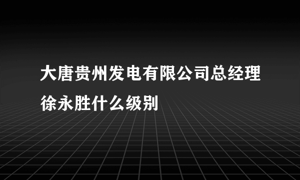 大唐贵州发电有限公司总经理徐永胜什么级别