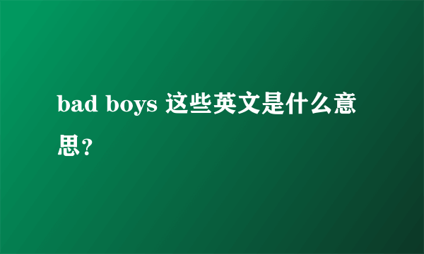 bad boys 这些英文是什么意思？