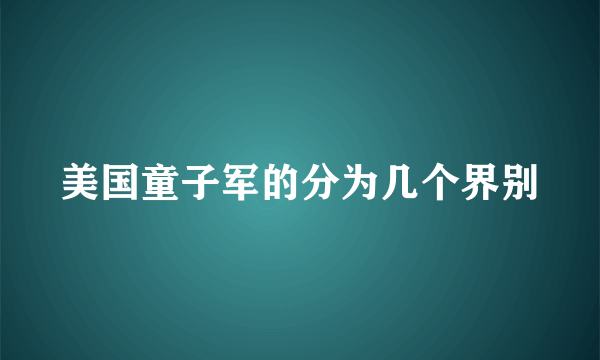 美国童子军的分为几个界别