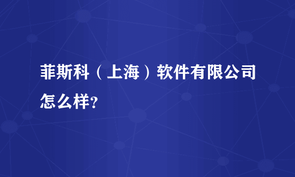 菲斯科（上海）软件有限公司怎么样？