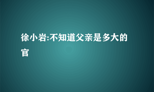 徐小岩:不知道父亲是多大的官