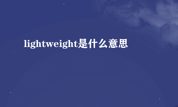 lightweight是什么意思