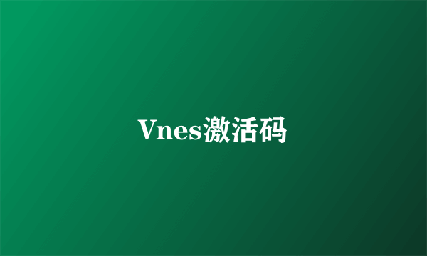 Vnes激活码