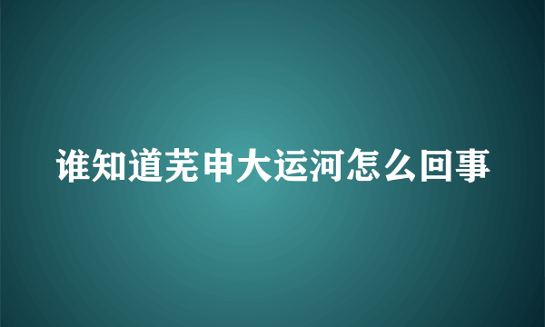 谁知道芜申大运河怎么回事