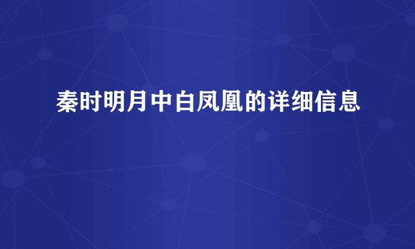 秦时明月中白凤凰的详细信息