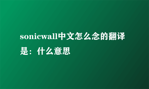 sonicwall中文怎么念的翻译是：什么意思