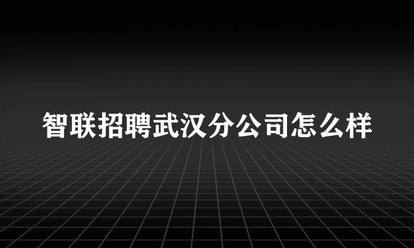 智联招聘武汉分公司怎么样