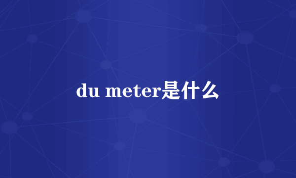 du meter是什么